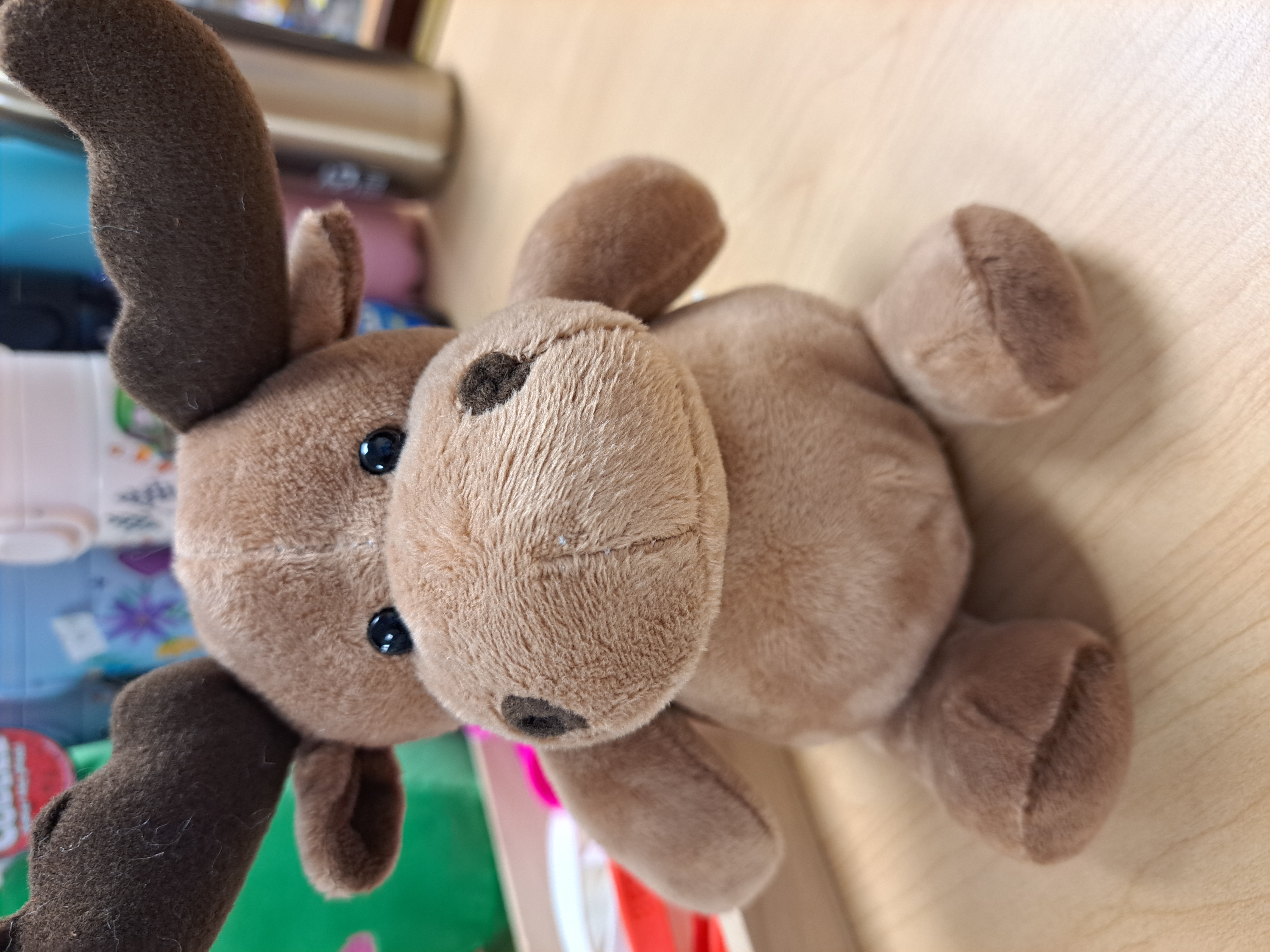 petit toutou orignal